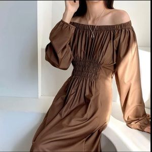 NEVER WORN Brown Long Sleeve Midi Dress